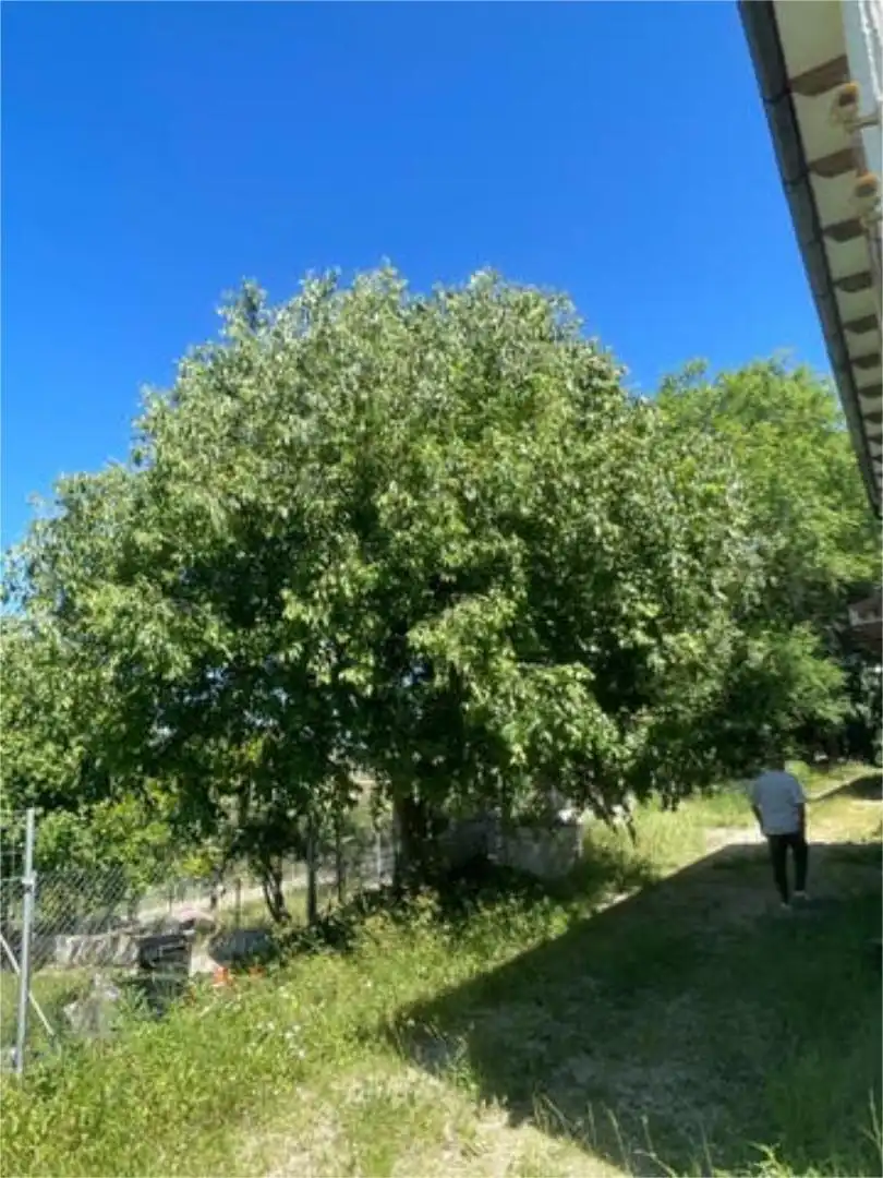 Chalet en Yeste, Albacete - Foto 9