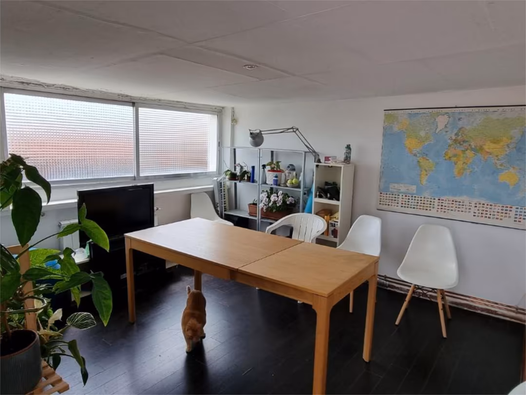 Piso en  Paseo de Alberto Palacios 82 - Foto 15