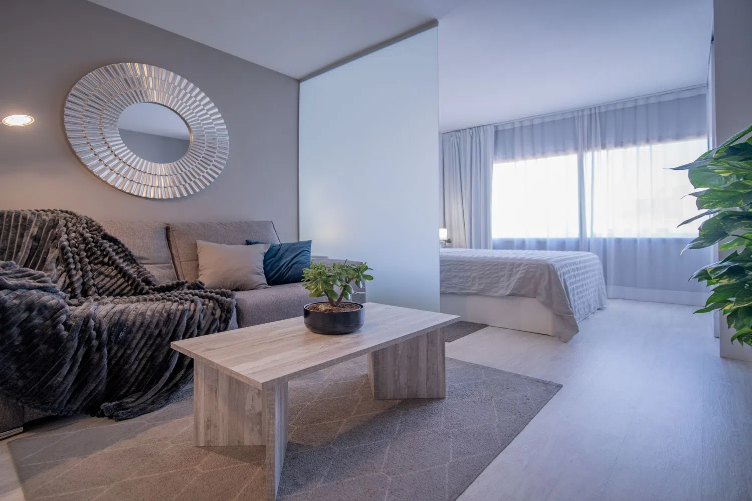 Estudio en calle de Don Juan de Austria, 4 - Foto 2