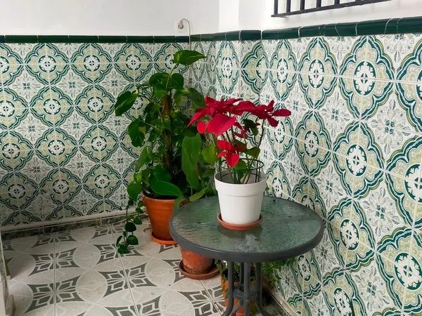 Casa independiente en calle Montaño, 10 - Foto 15