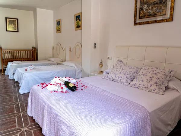 Cortijo en Cortijo en Diseminado Diseminados, 439 - Foto 11