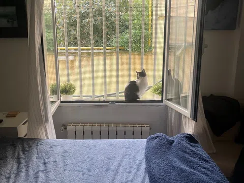 Piso en travesía de las Cañas, 1 b