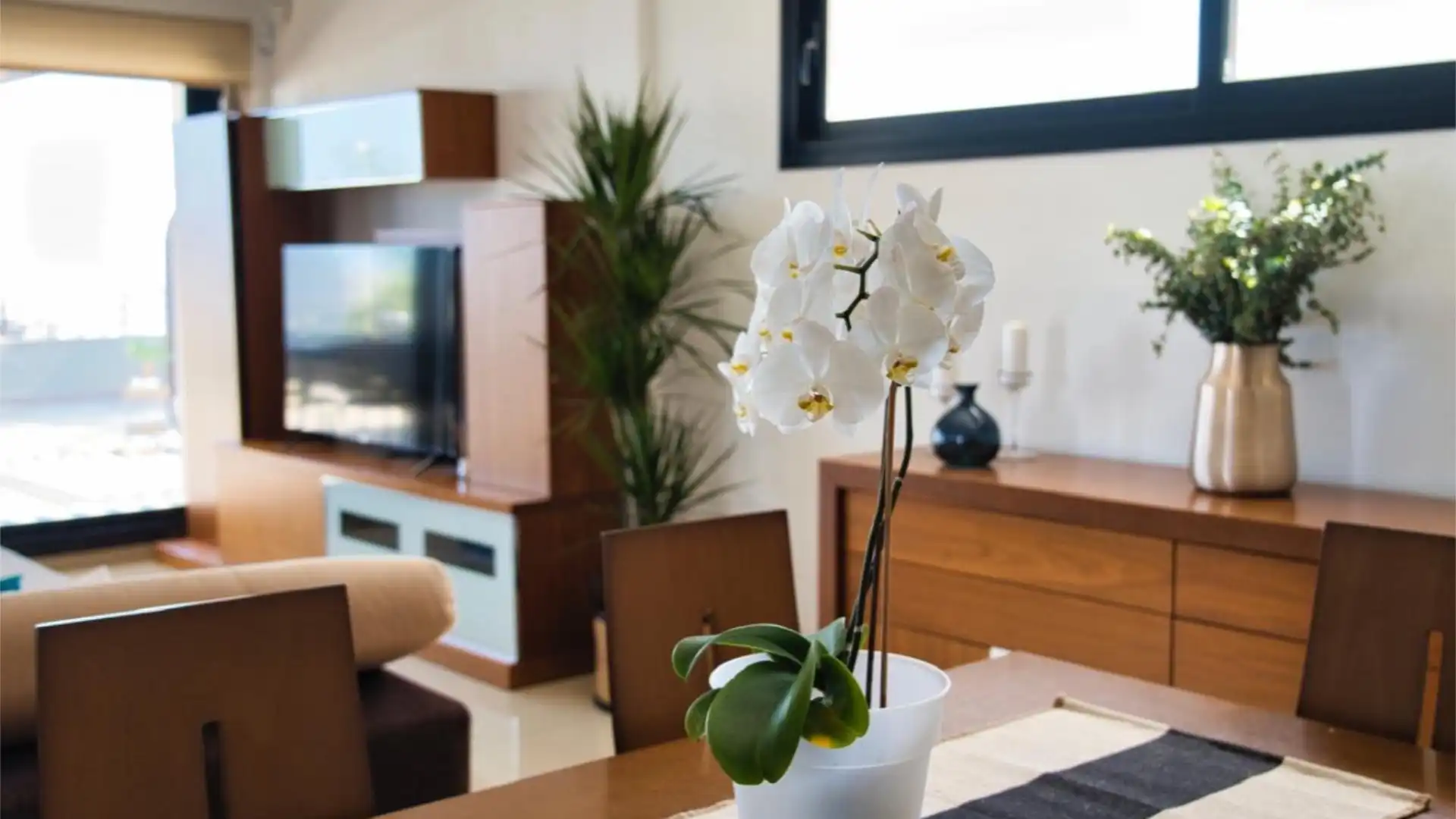 Piso en  Calle Francia 21 - Foto 21