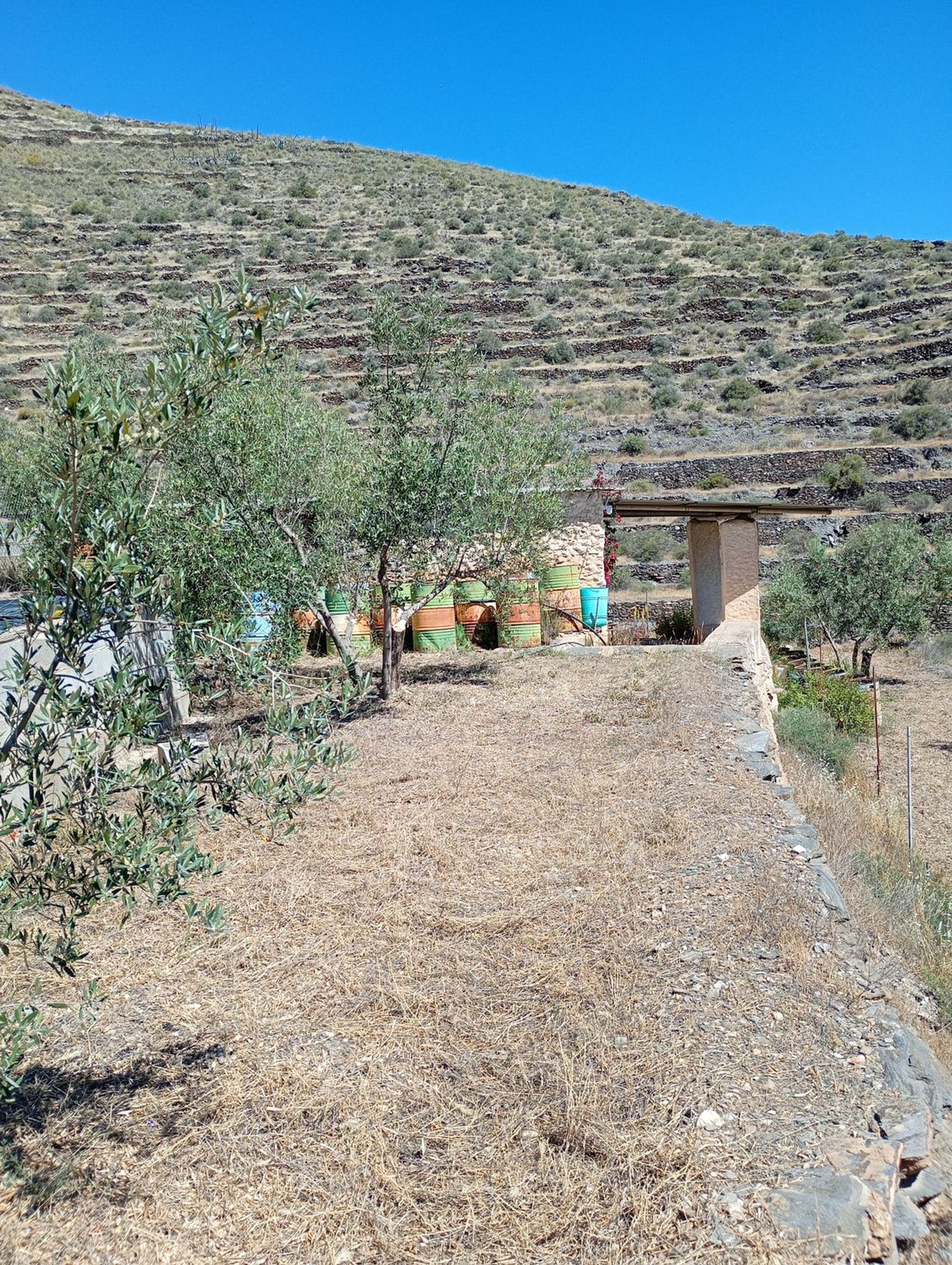 Cortijo en barranco s/n - Foto 12