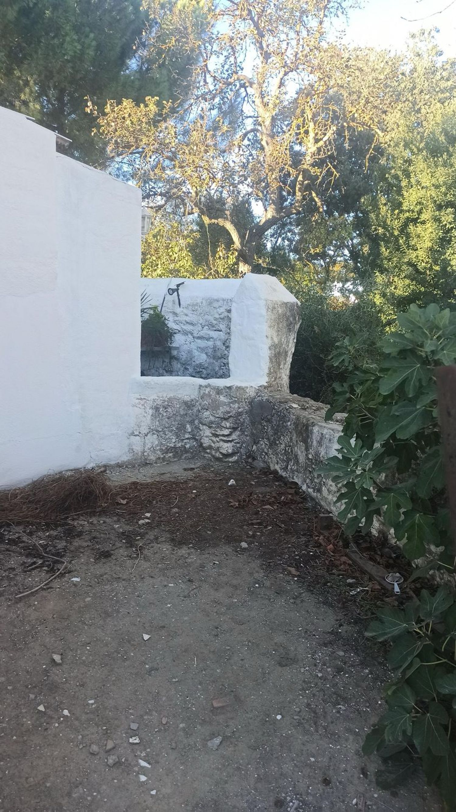 Finca rústica en Camino de Setenil a Alcalá del Valle s/n - Foto 4