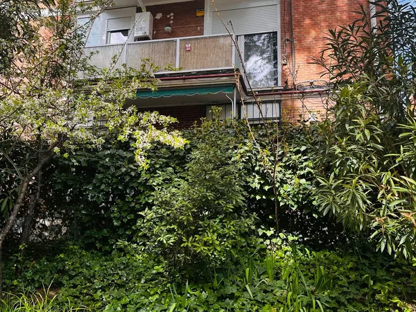 Piso en plaza Ortigosa, 4 - Foto 3