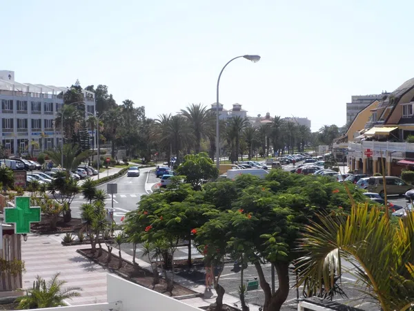 Estudio en avenida Antonio Dominguez, 16 - Foto 11