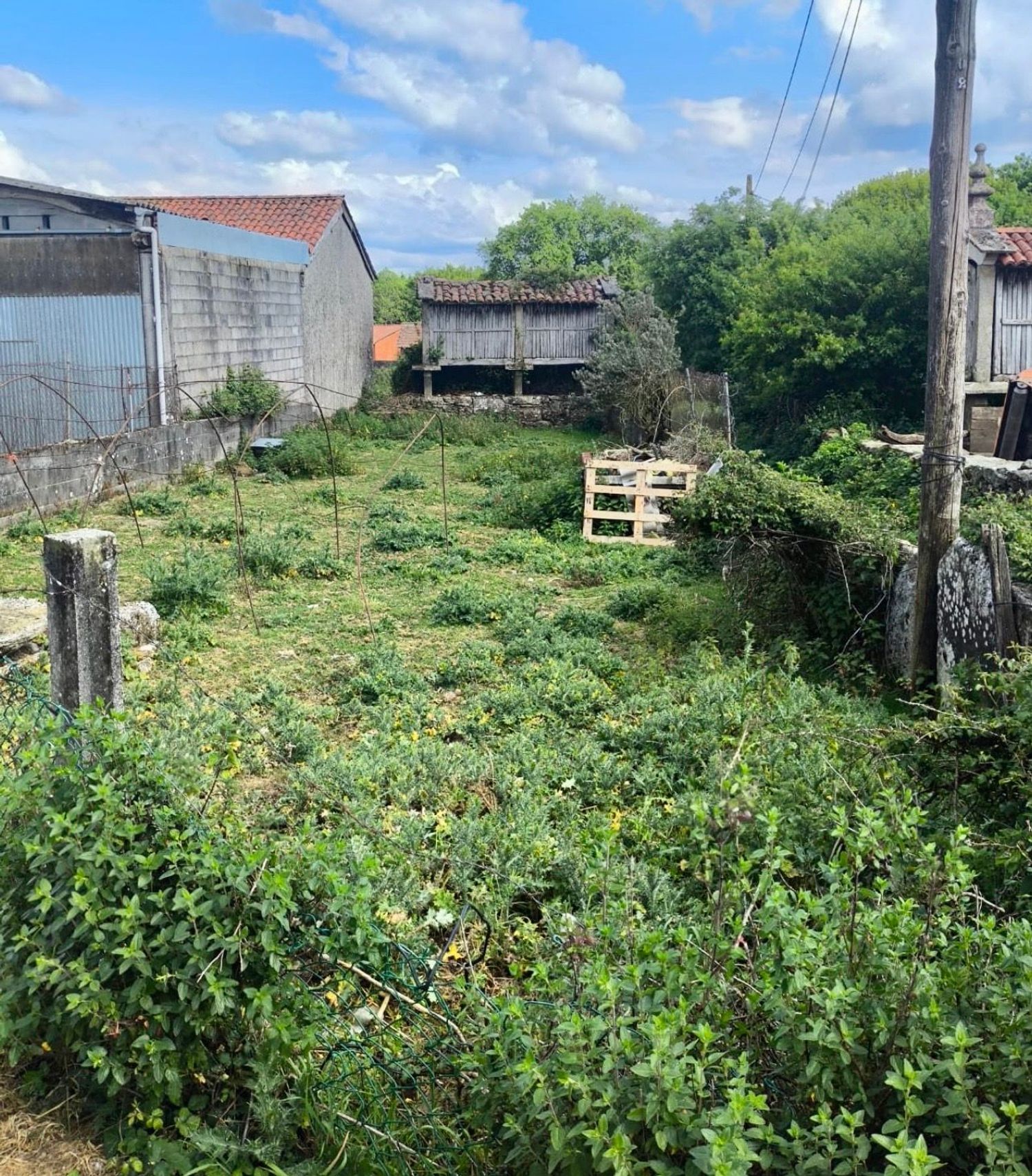Casa de pueblo en Penela, 10 - Foto 4