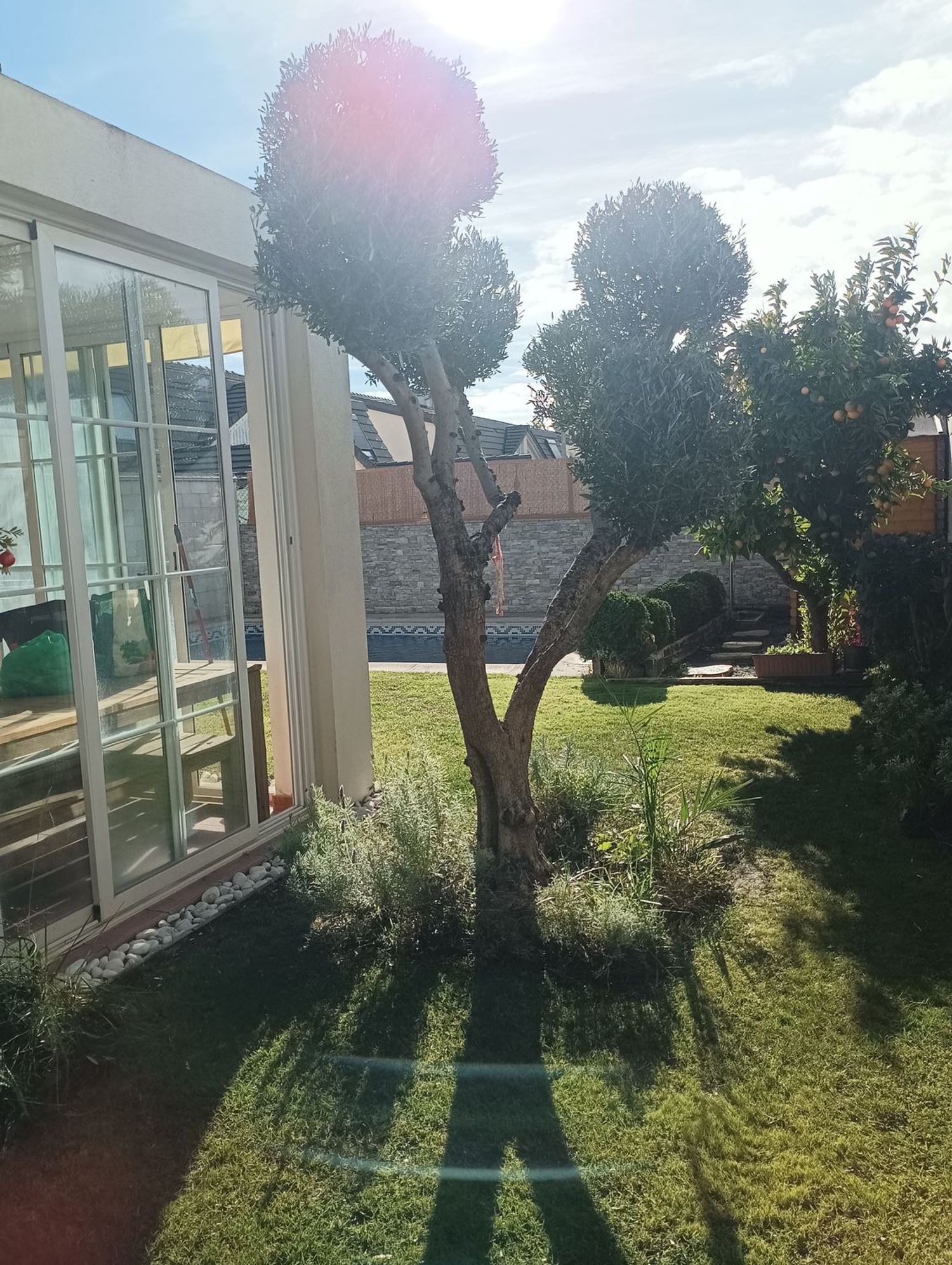 Chalet pareado en Calle Italia, 47, Señorío de Illescas, Señorío de Illescas - Foto 15