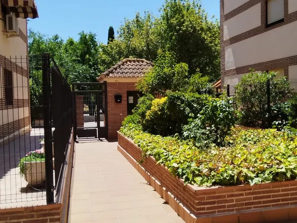 Dúplex en Montauban, 2, Venecia - Nueva Alcalá, Venecia - Nueva Alcalá - Foto 16