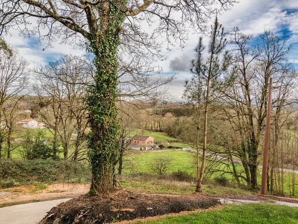 Casa independiente en camino El Rayu, 1 - Foto 31