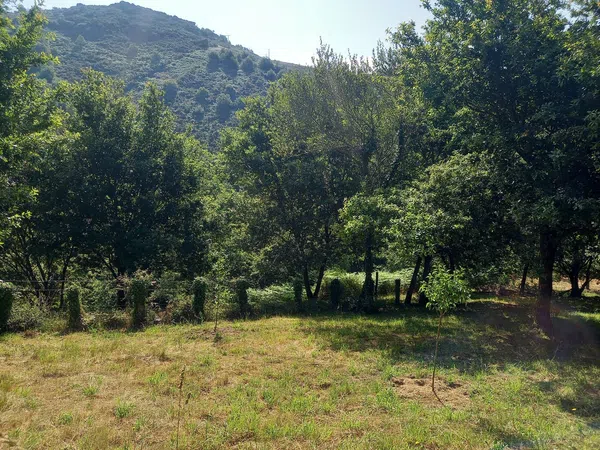 Casa rural en Lugar Carrizans-Escuadra, 17 - Foto 24