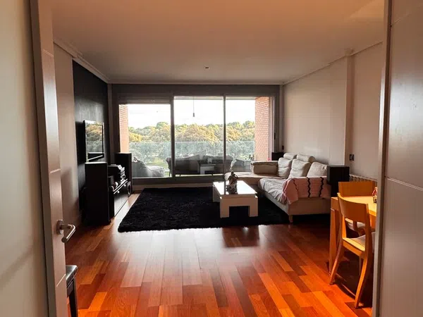 Piso en calle Junta de Castilla y Leon, 8