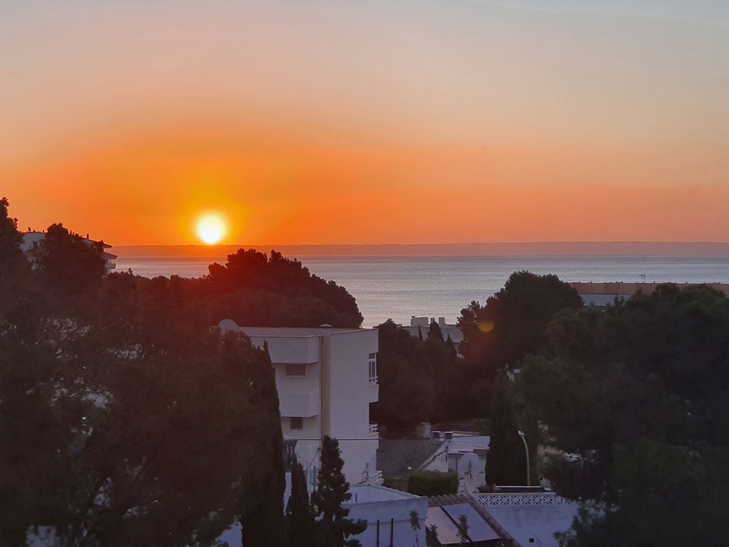 Piso en Palmanova - Foto 4