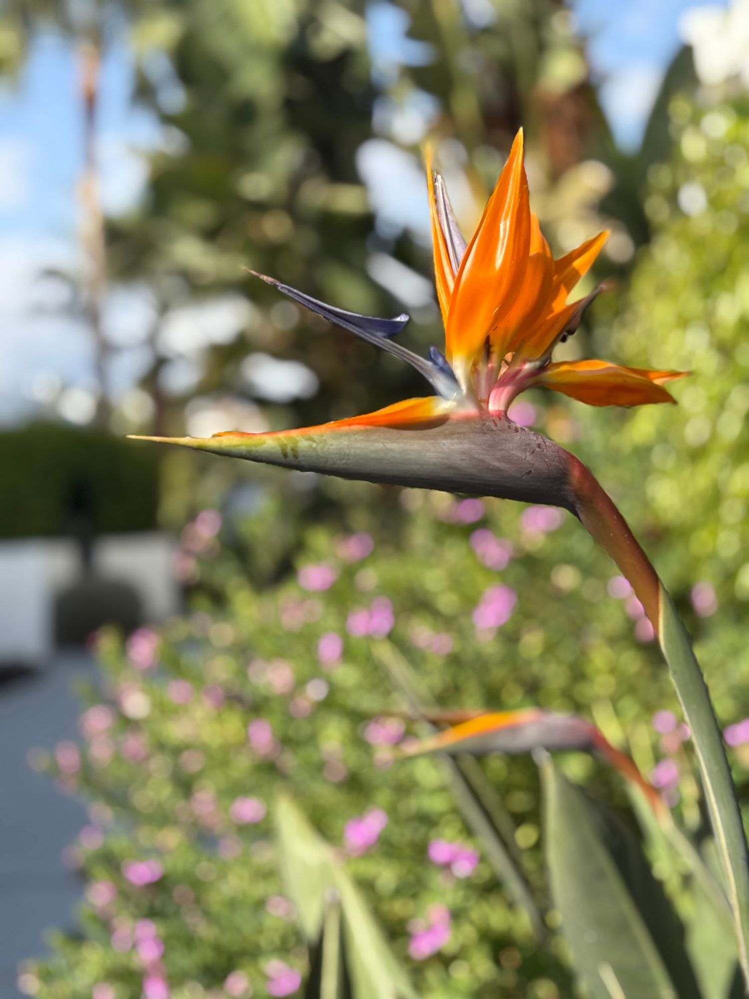 Piso en calle Igualeja, 4 - Foto 16