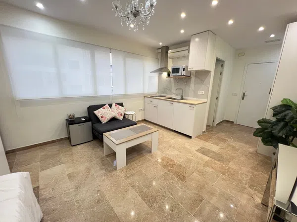 Estudio en Calle jaime segarra, 51, Carolinas Altas - Foto 1