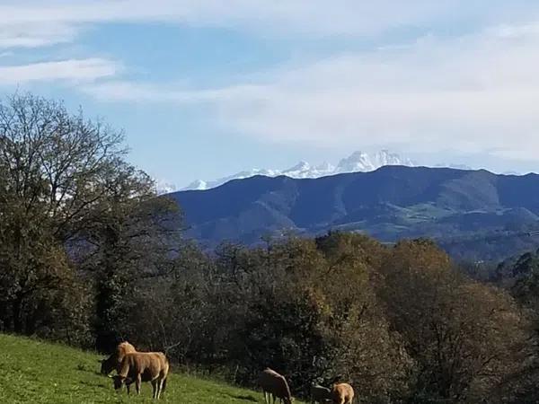 Casa terrera en Aldea Muñio, 33534 - Foto 12