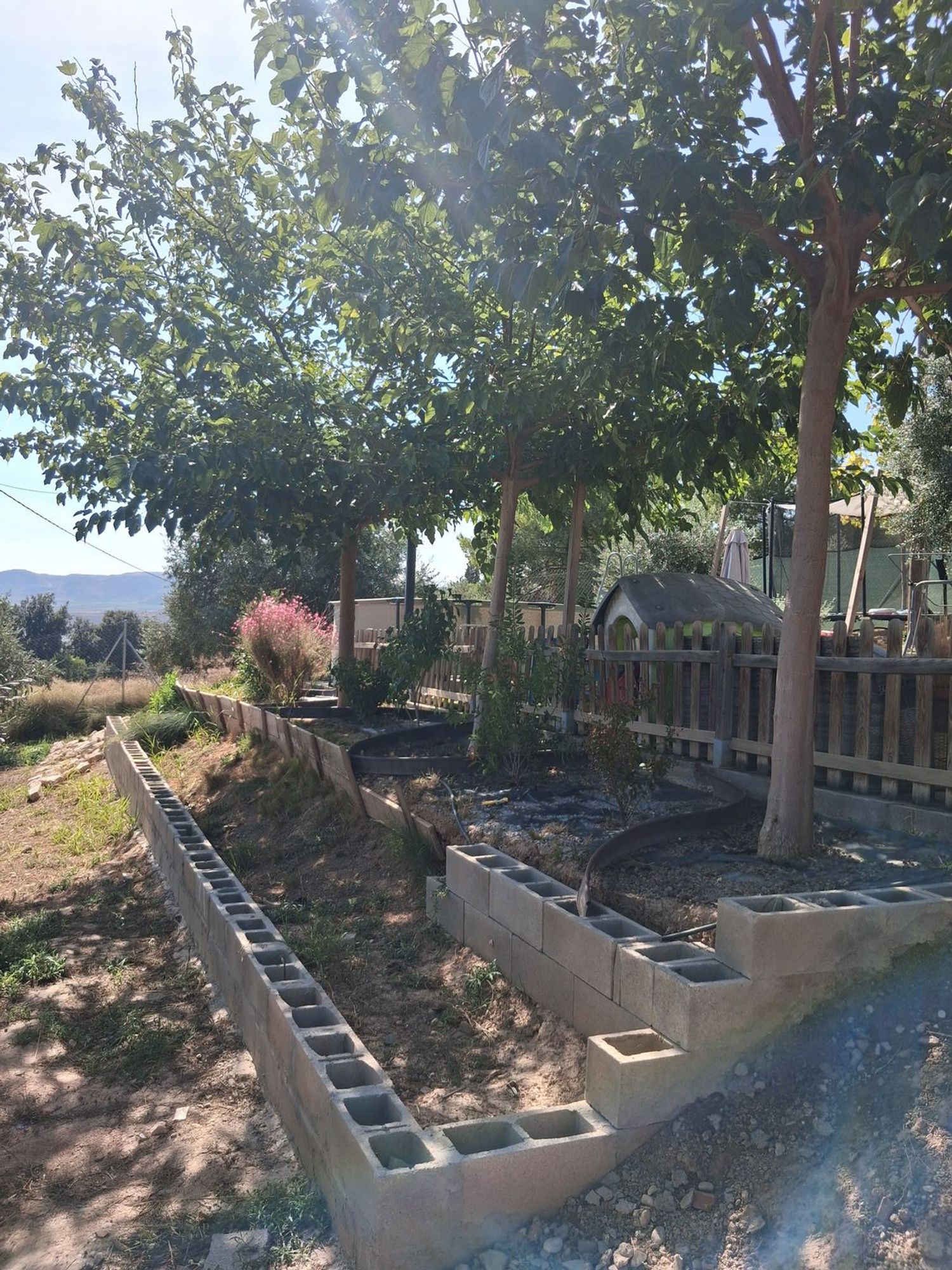 Finca rústica en Partida Poligono 01, 6 - Foto 5
