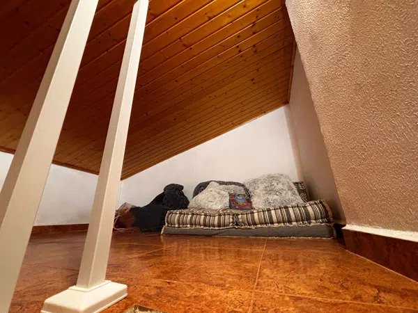 Chalet pareado en Calle Biar, 10, Tamarit - Playa Lissa, Tamarit - Playa Lissa - Foto 37