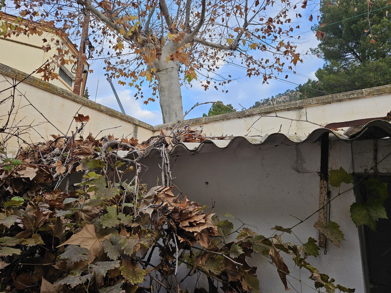 Casa o chalet independiente en Barrio Pantano Contreras, 11 a - Foto 14