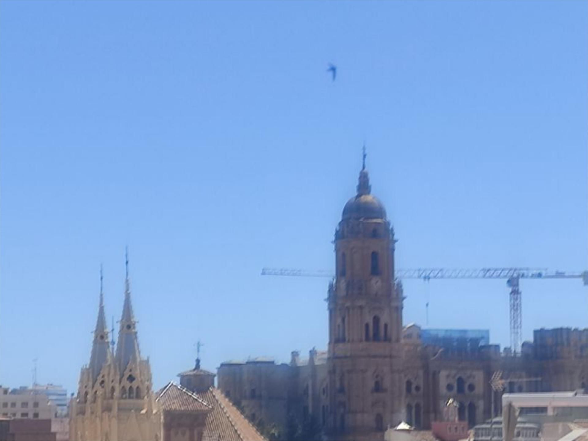 Piso en  Avenida de la Rosaleda 3 - Foto 7