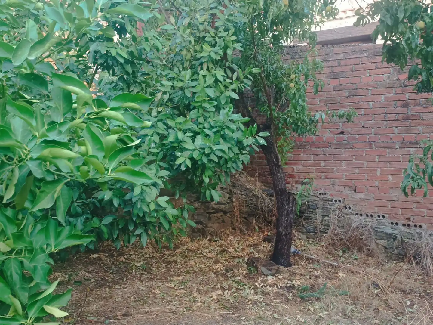 Planta baja en  Calle Peligro 15 - Foto 6