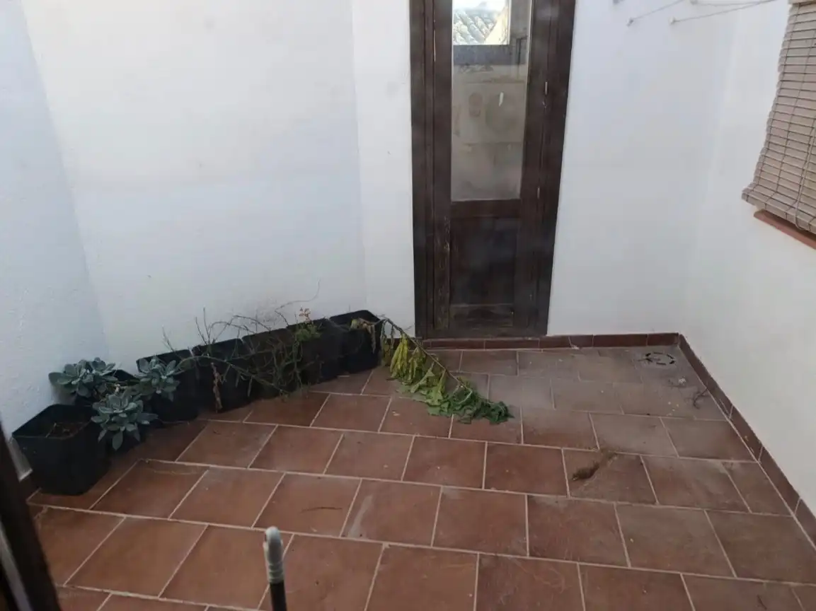 Piso en  Plaza Amador de los Ríos 1 - Foto 4