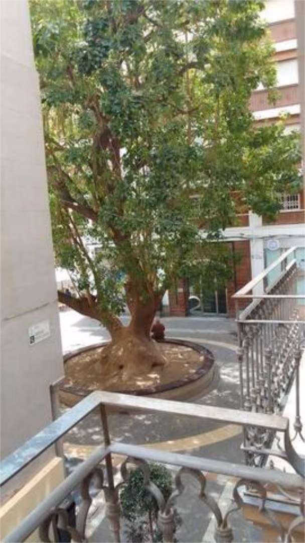 Piso en Centro - Foto 9