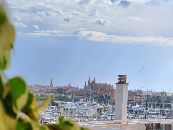 Ático en Calle Federico García Lorca, 14, Paseo Marítimo - Foto 11