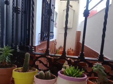 Piso en  Calle Piedad 18 - Foto 9