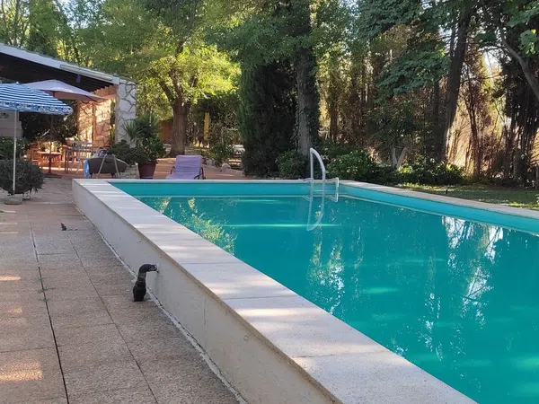 Casa o chalet independiente en Carril de la Hoya de La Buitraga s/n - Foto 9