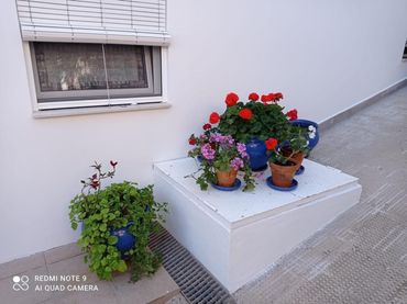 Planta baja en  Calle Severo Ochoa 17 - Foto 22
