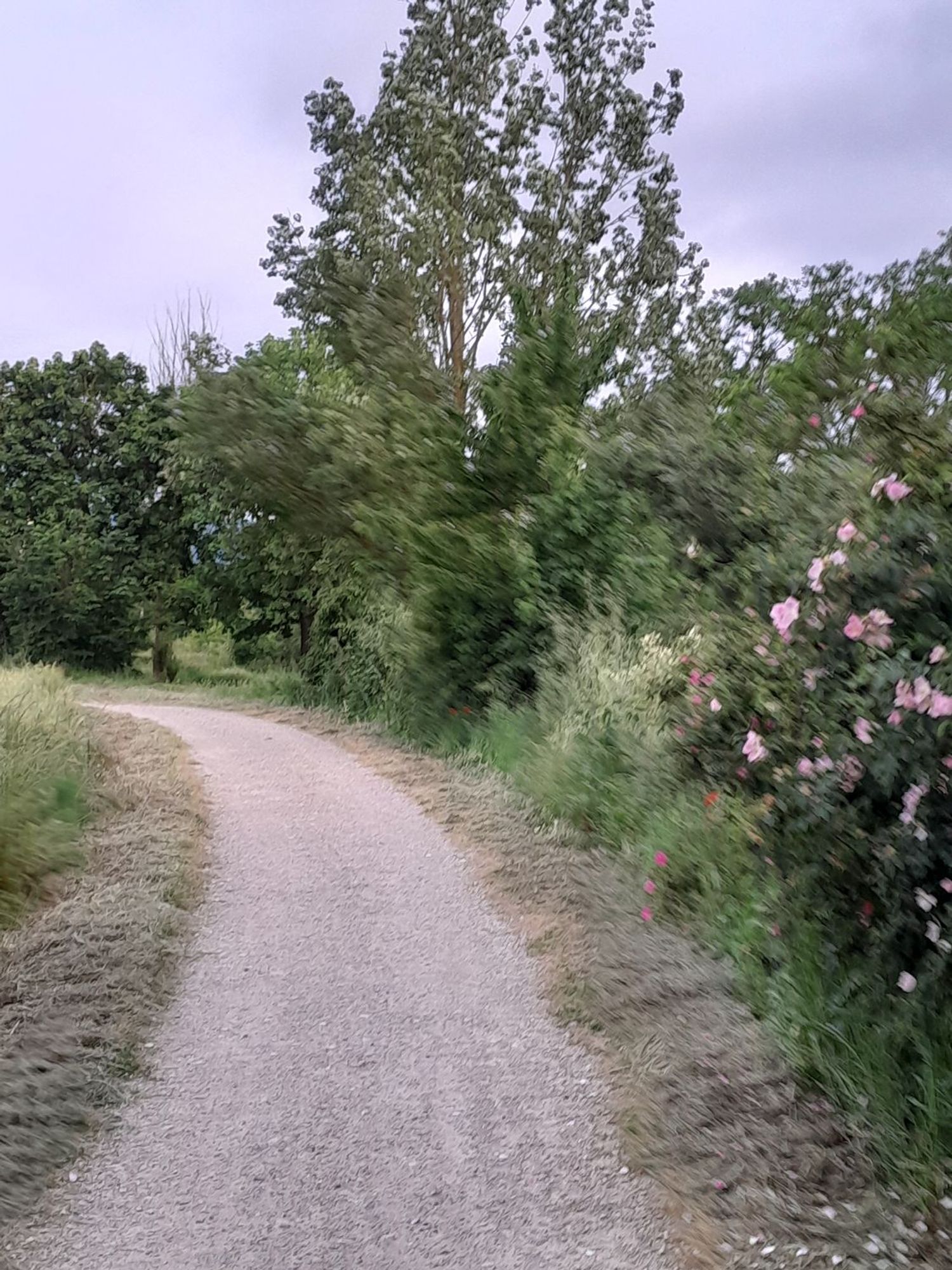 Piso en Los Miñones de Álava, 2 - Foto 11