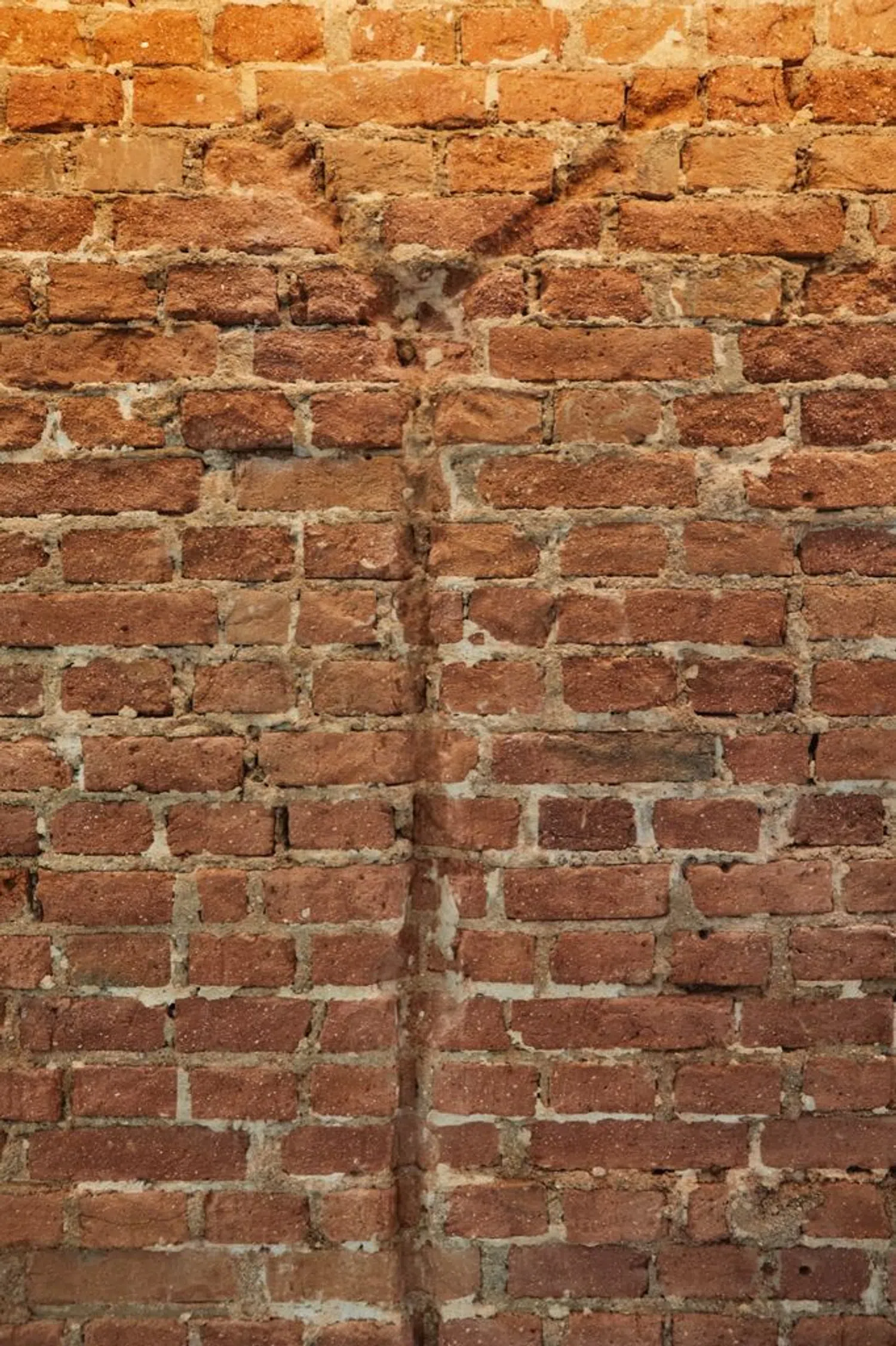 Piso - Foto 11