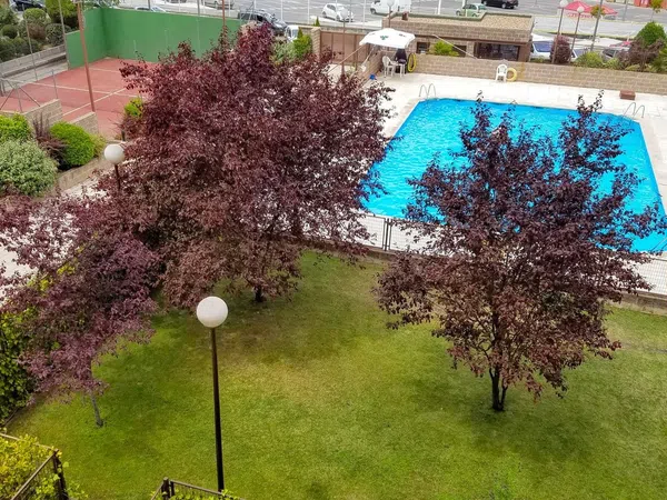 Piso en Calle de Pirra, 44, Rejas - Foto 8