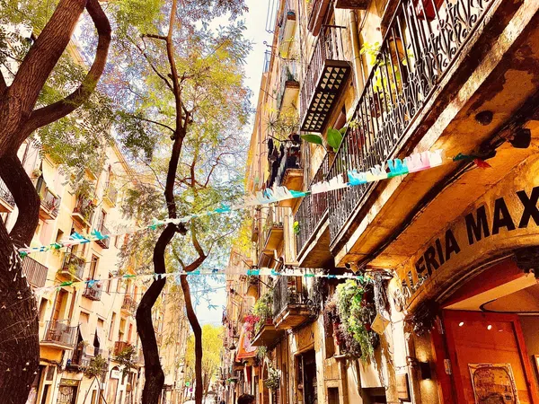 Estudio en Plaza de Sant Pere, 4, Sant Pere - Santa Caterina i la Ribera - Foto 17