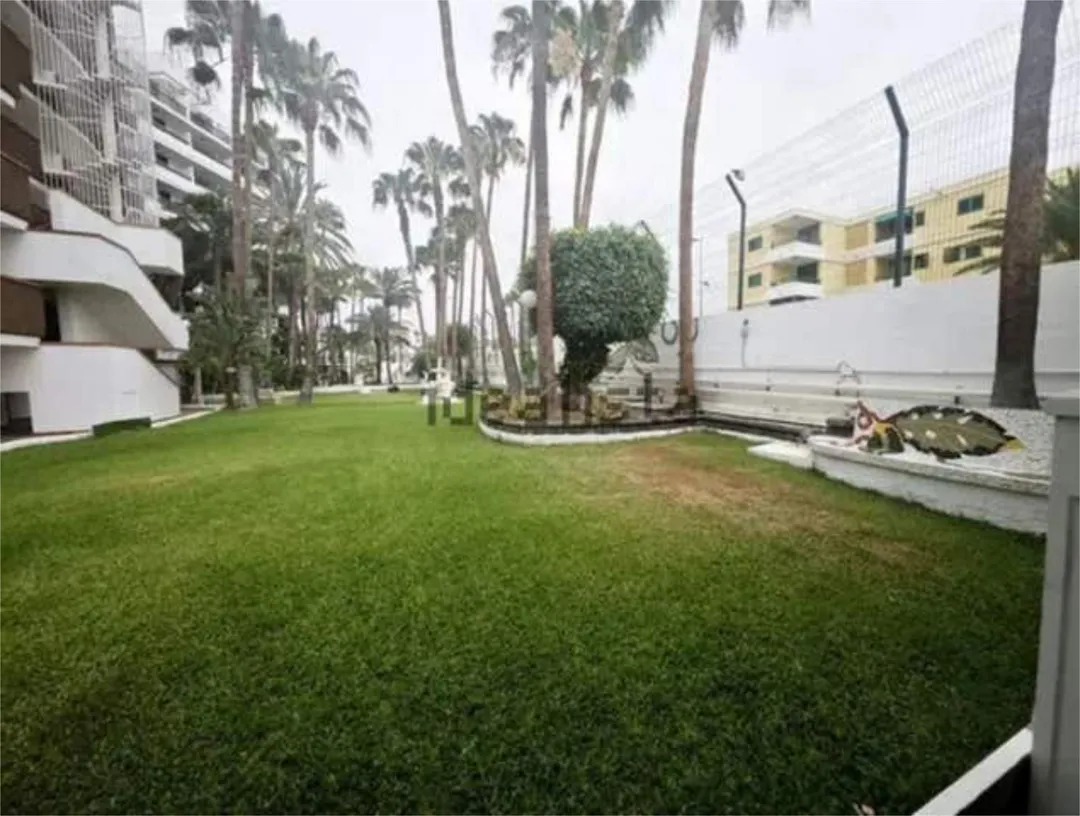 Piso en Las Palmas - Foto 3