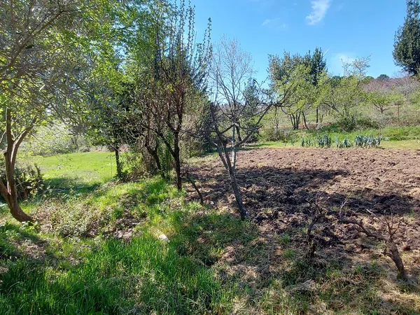 Casa o chalet independiente en Carretera Forestal de la Pregonera, 924 Av - Foto 12