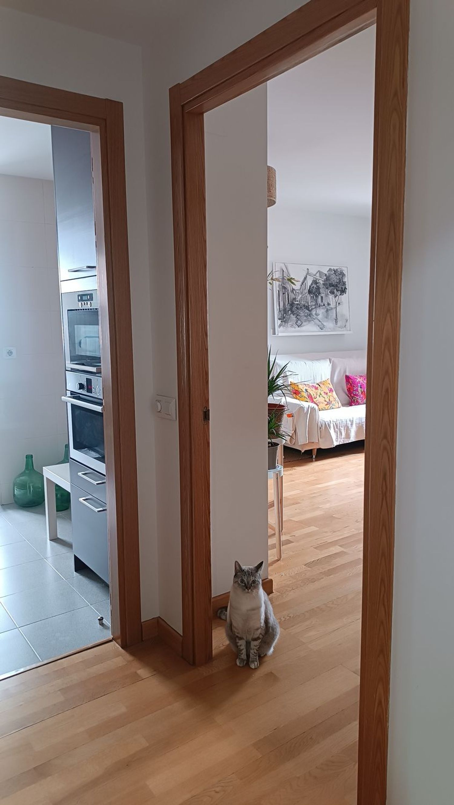 Piso en calle Cardenal Vicente Enrique y Tarancón, 1 - Foto 3