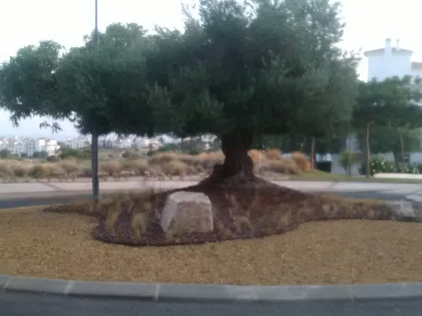 Piso en calle Egeo, 42 - Foto 12