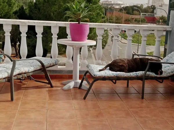 Casa o chalet independiente en Plaza del Taburio, 18, Beniopa - San Pere, Beniopa - San Pere - Foto 13