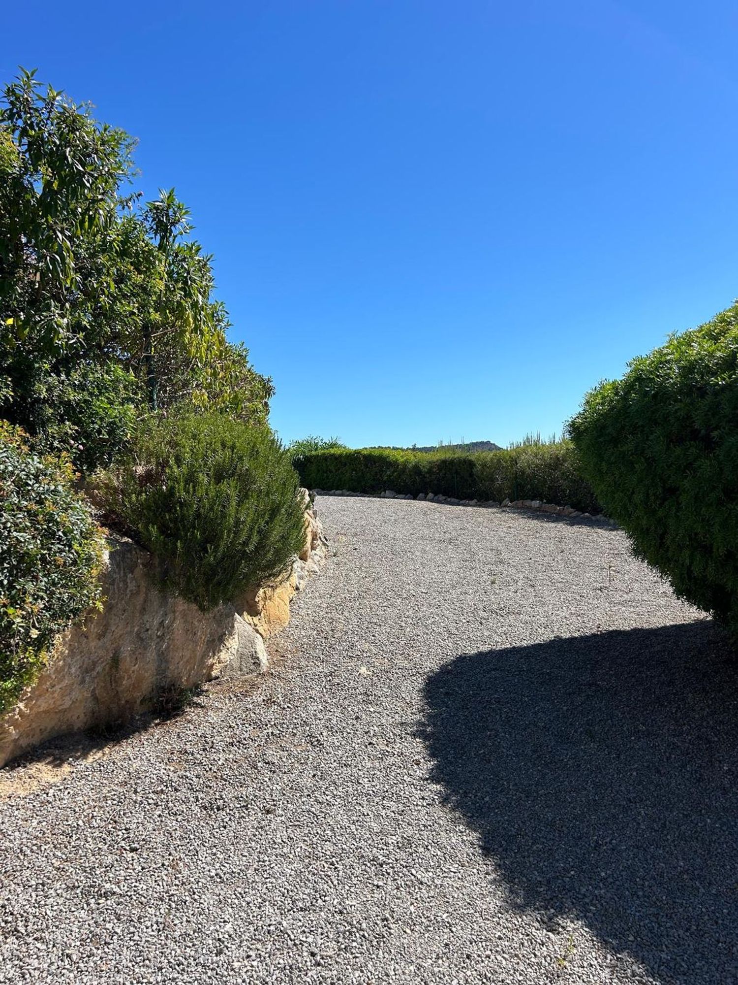 Estudio en Avenida de Cala Llenya, 77, San Carlos, San Carlos - Foto 6