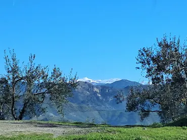 Finca rústica en  Diseminado el Cerval Pol 15 34B - Foto 24