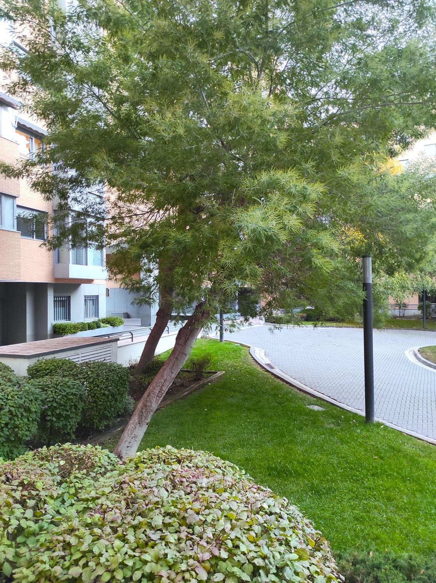 Piso en Avenida de Francisco Pi y Margall, 19, Sanchinarro - Foto 24