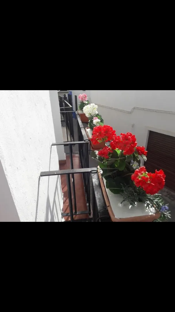 Piso en  Calle San Basilio 19 - Foto 4