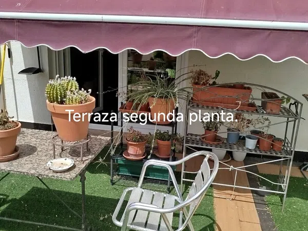 Chalet adosado en Santa María-Pio XII, Santa María-Pio XII - Foto 29