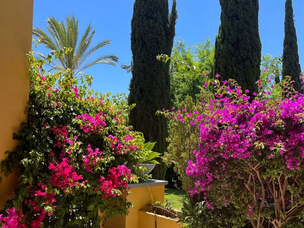 Piso en avenida Reina Doña Sofia, 1 - Foto 2