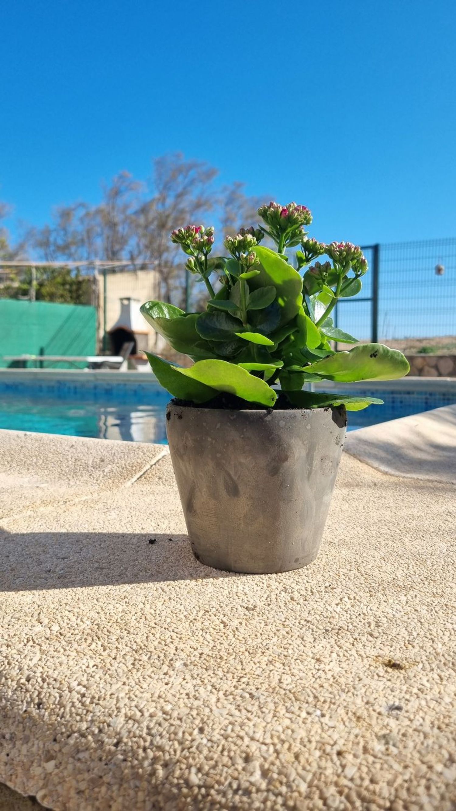 Casa independiente en sector 2b, 2 - Foto 13