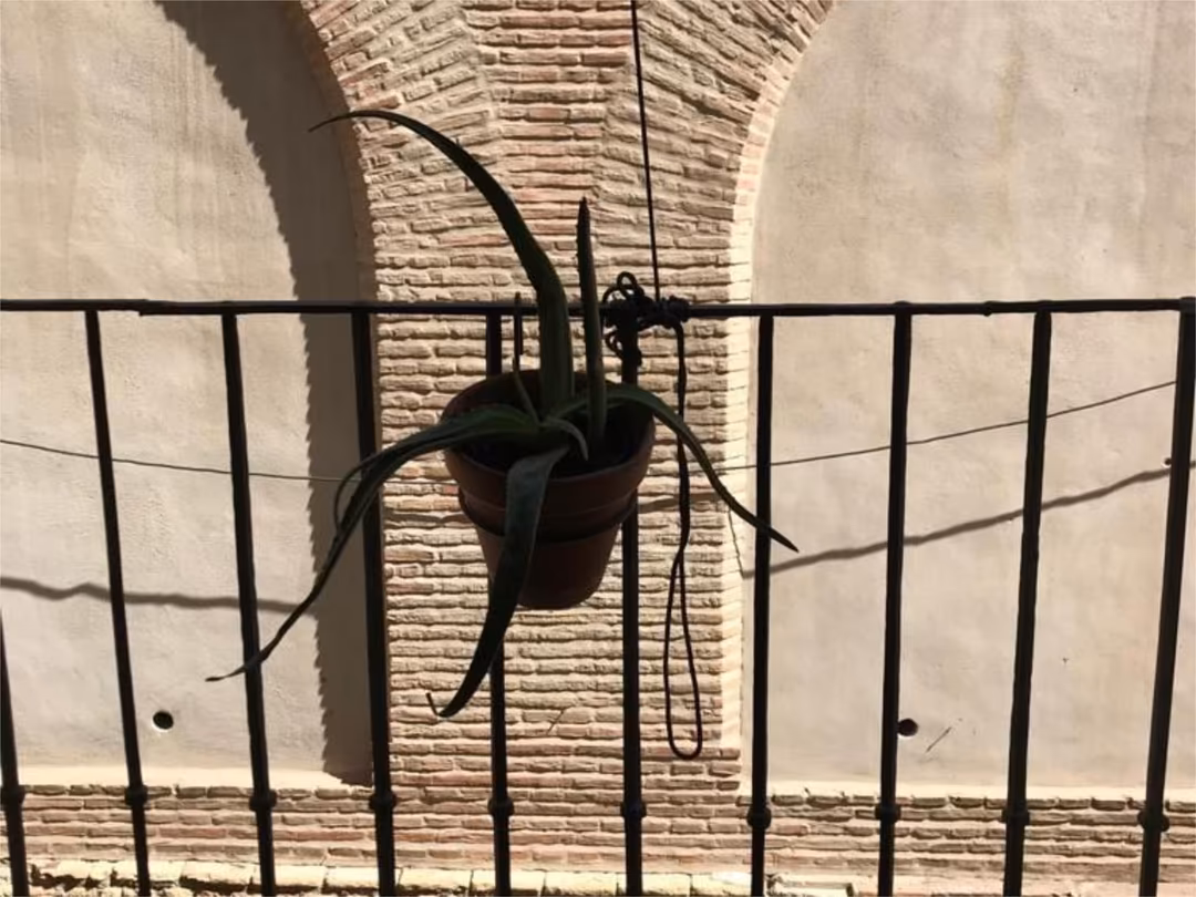 Apartamento en  Calle Capilla San Andrés 5 - Foto 3