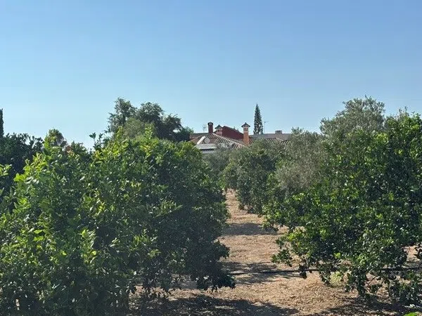 Casa o chalet independiente en Calle Vison, 13, Cuatro Pinos-El Carmen - Foto 26